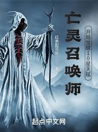 综网：从召唤师开始挂机刷图